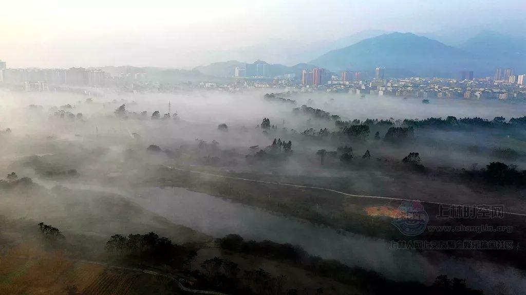 探索奇妙世界,尽在如何做白菜豆腐蜗牛问答平台